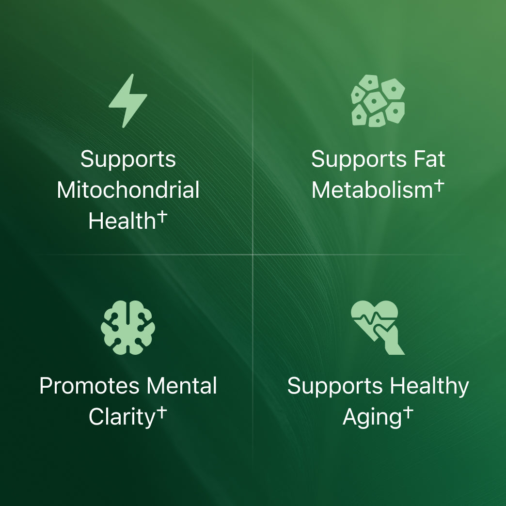 Amla Superfruit Capsules (Copy)