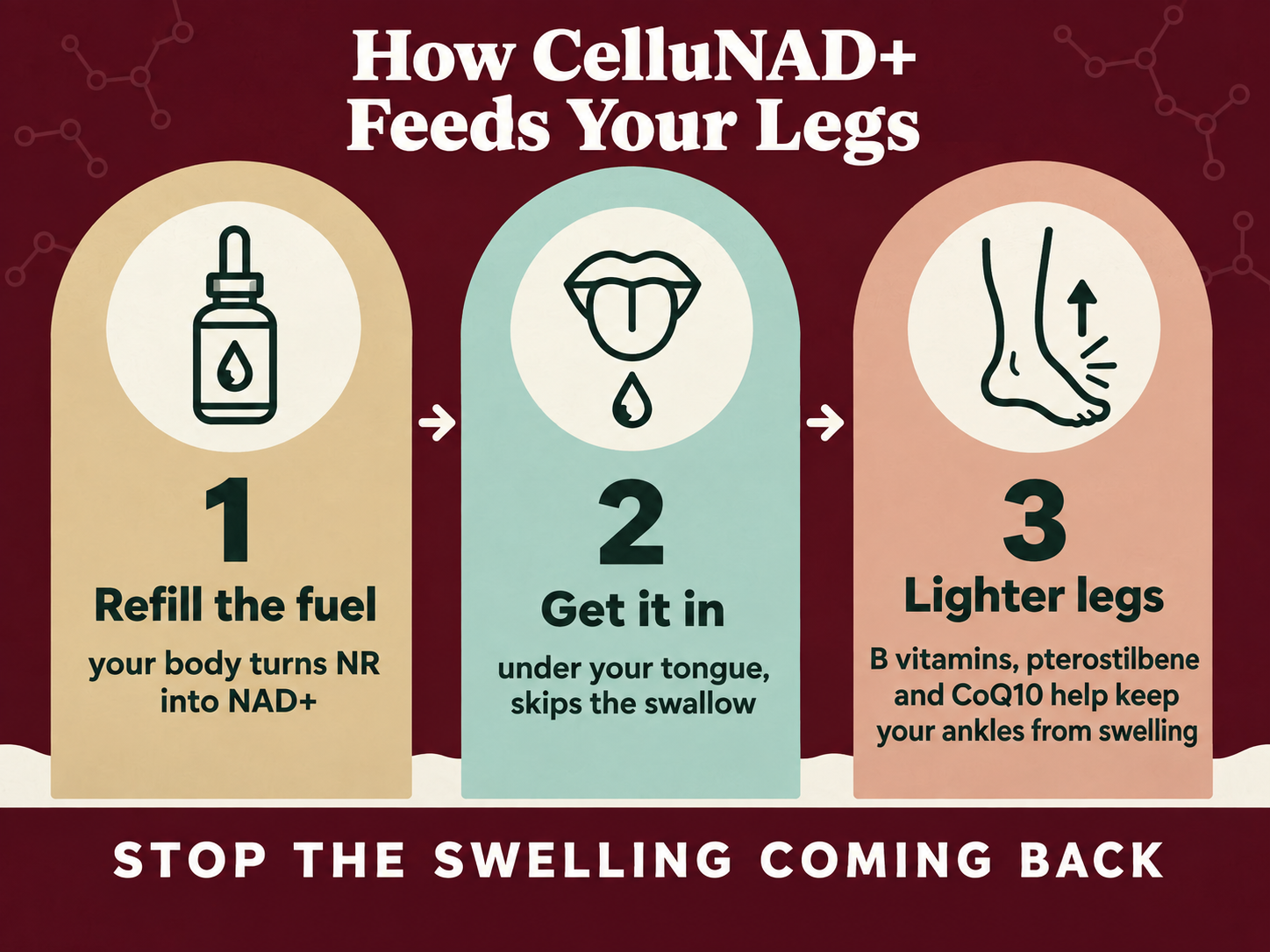 How CelluNAD+ feeds your legs in 3 steps