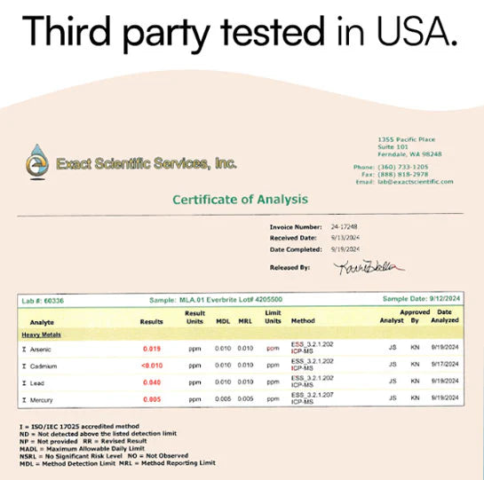 gempages 566151861153825622 a9069690 0639 451e 8394 ef5147092db7