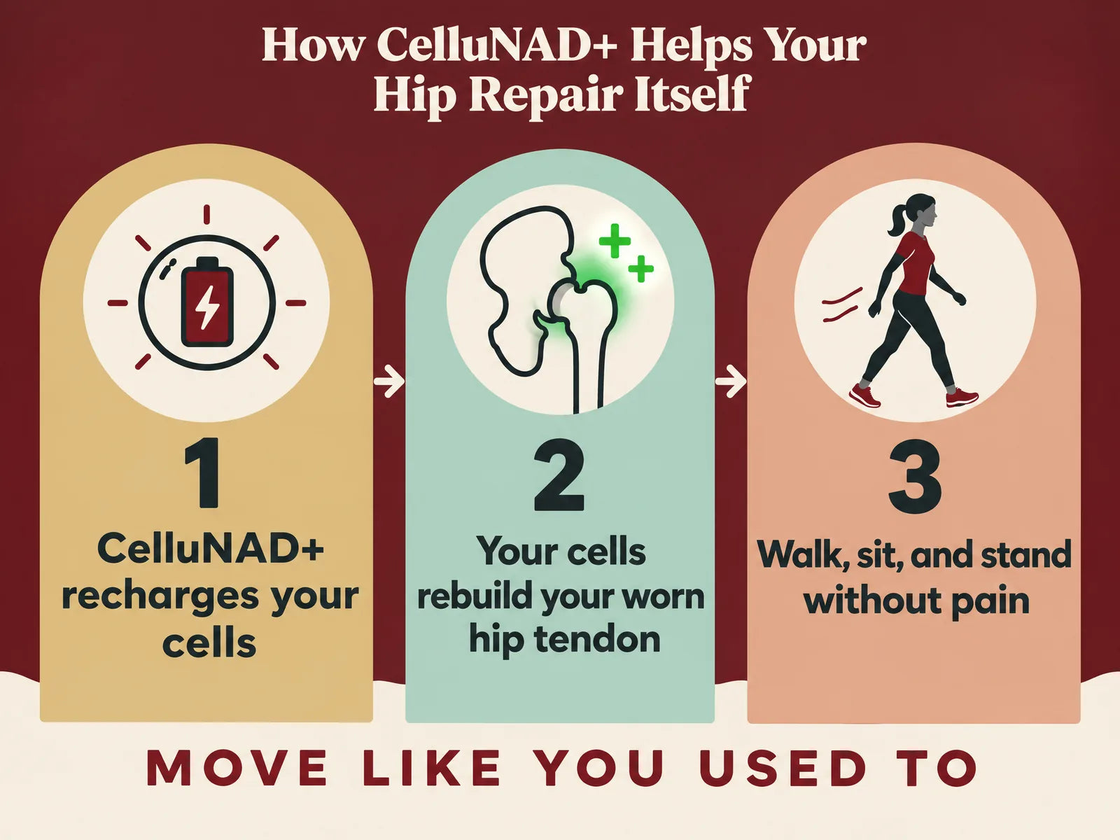 How CelluNAD+ helps your hip repair itself