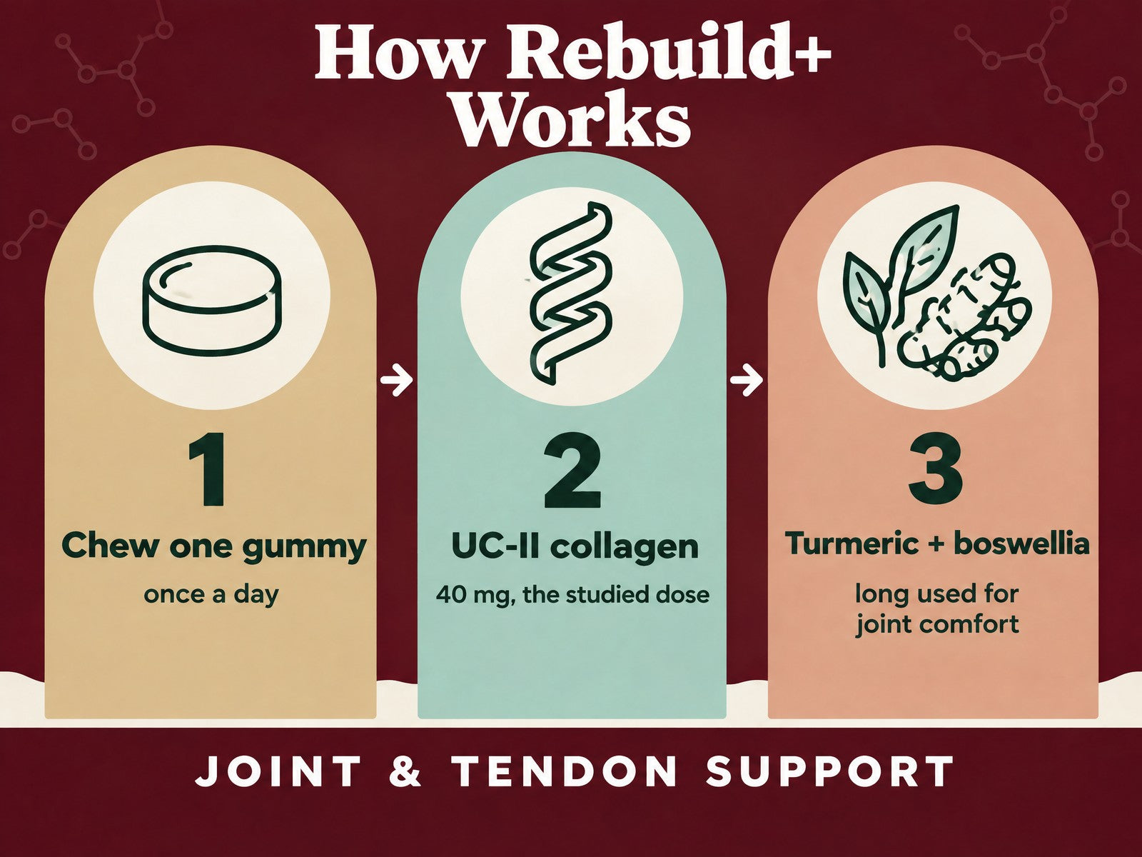 How Rebuild+ works: one gummy, UC-II collagen, turmeric and boswellia