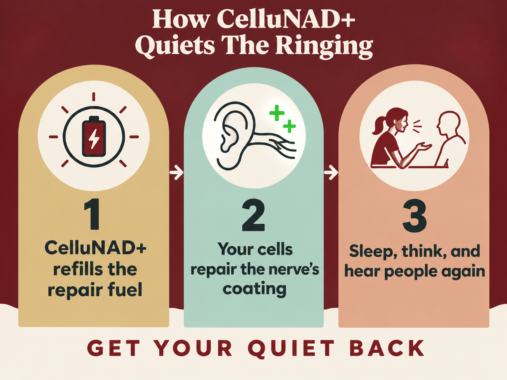 How CelluNAD+ quiets the ringing: refills the repair fuel, your cells repair the nerve's coating, sleep think and hear people again